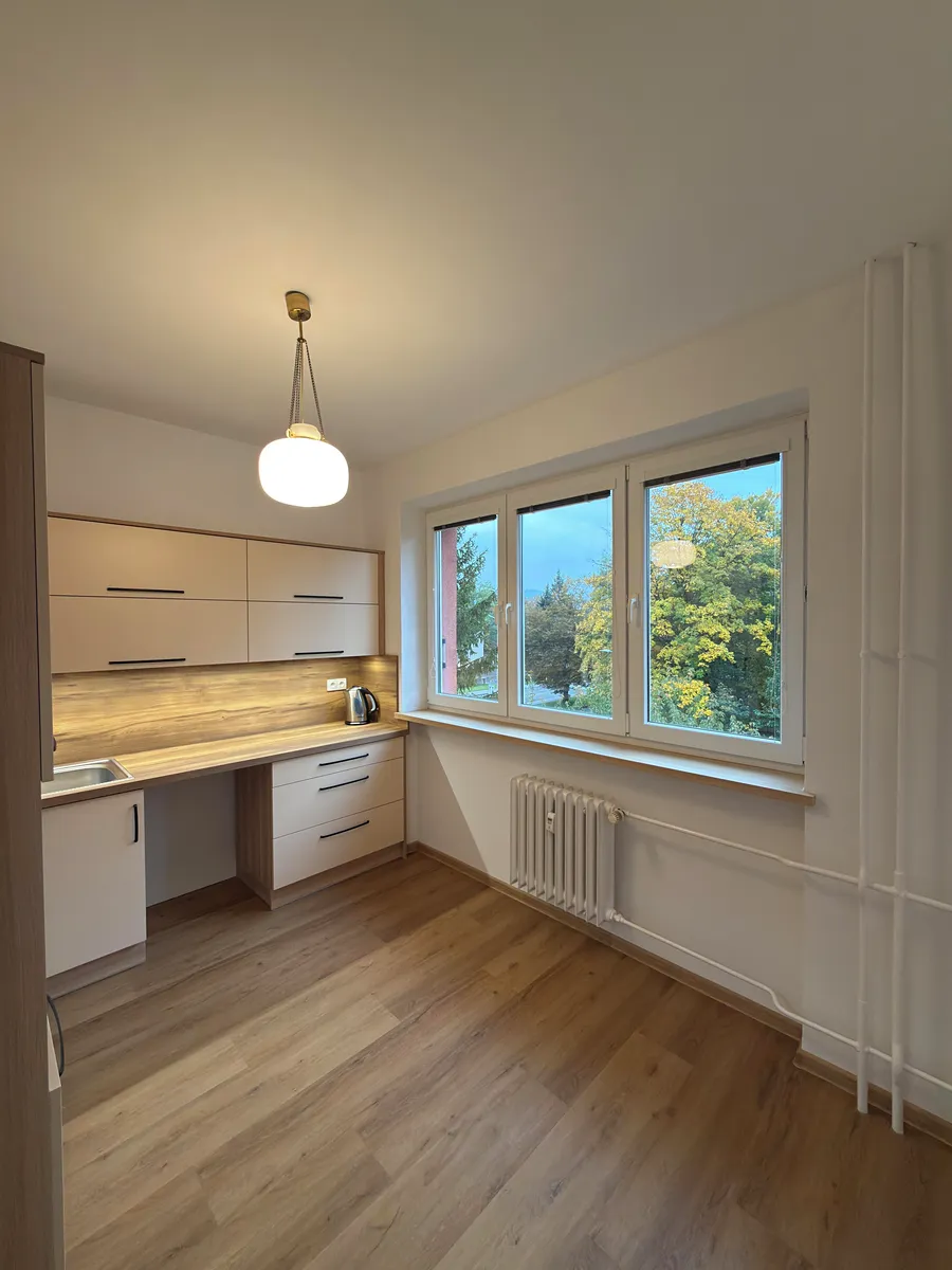 Pronájem bytu 2+1 58 m²